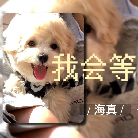 專輯封面