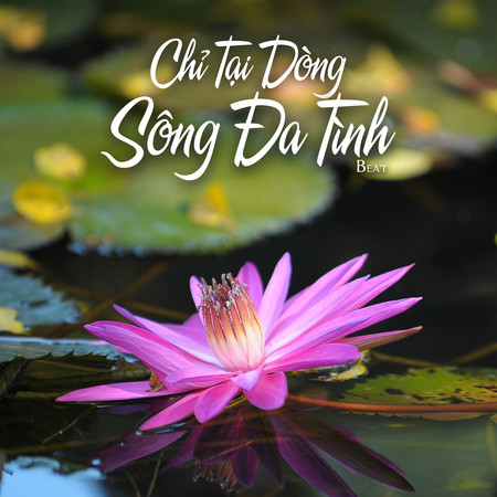 Chỉ Tại Dòng Sông Đa Tình (Beat)