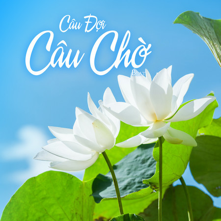 Câu Đợi Câu Chờ (Beat)