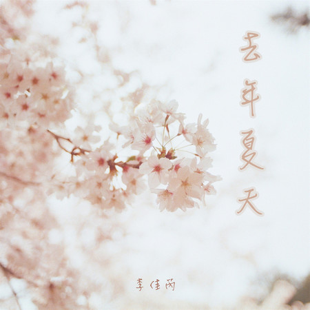 去年夏天