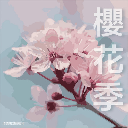 櫻花季
