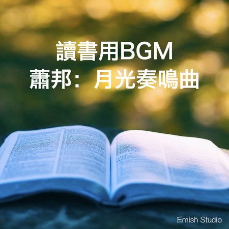 讀書用BGM：蕭邦月光奏鳴曲、睡眠、店家、閱讀