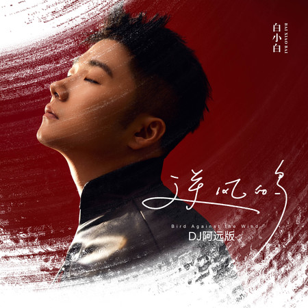 逆風的鳥 (DJ阿遠版)