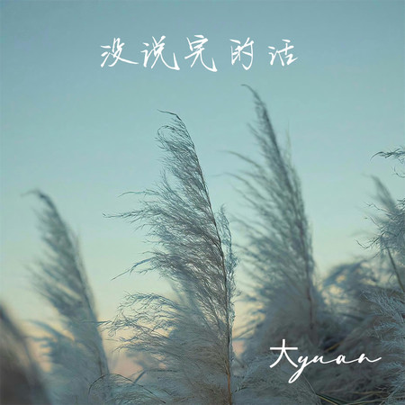 沒說完的話