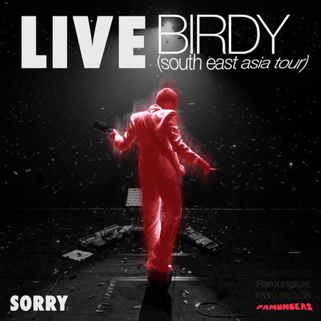 Sorry (Live At Birdy South East Asia Tour)