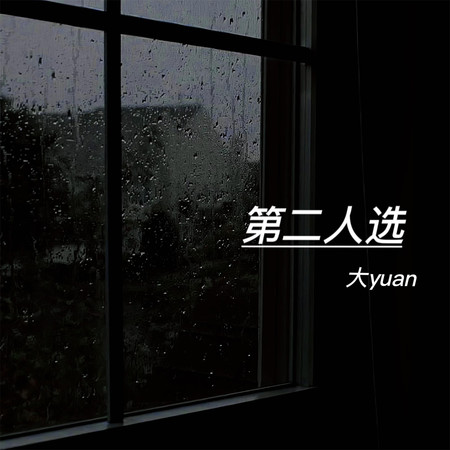 第二人選