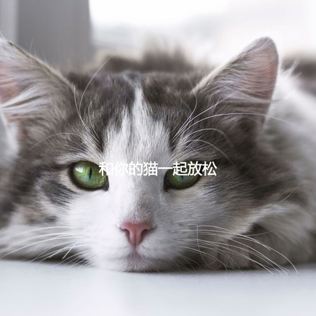 Happy Music for Happy Cat