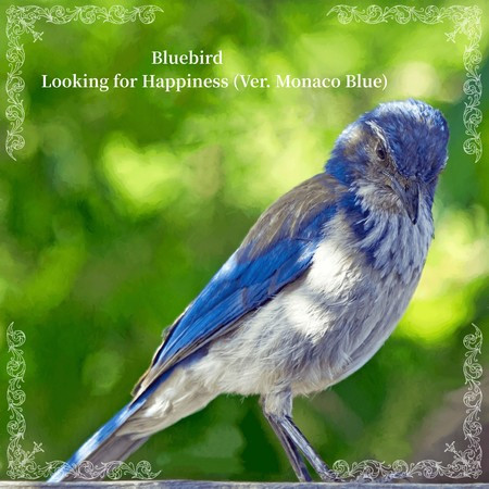 Bluebird-Looking for Happiness(Ver. Monaco Blue)