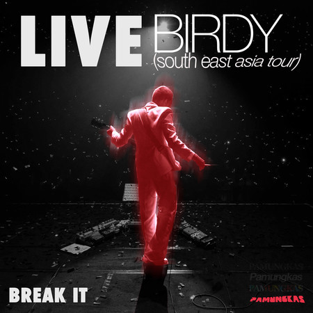 Break It (Live at Birdy South East Asia Tour)