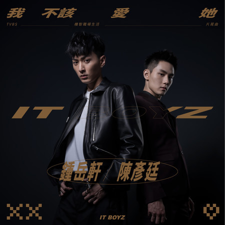 我不該愛他（TVBS ，LINE TV 『機智職場生活』片尾曲) (feat. 機智男孩)