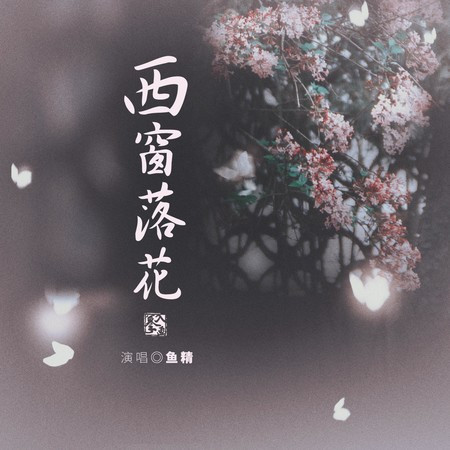 西窗落花 (DJ沈念版1.1x)