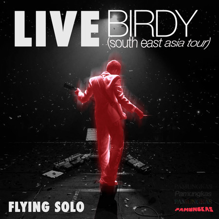 Flying Solo (Live - Birdy South East Asia Tour)