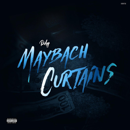 Maybach Curtains