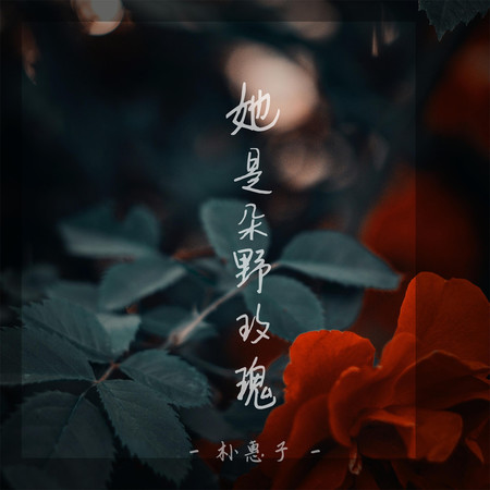 她是朵野玫瑰