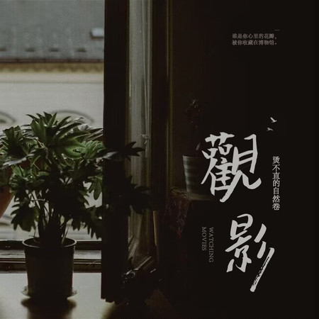 觀影（伴奏）
