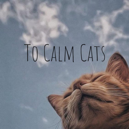 To Calm Cats