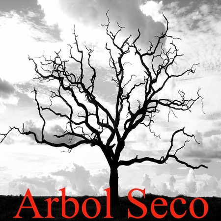 Arbol Seco