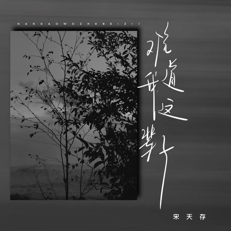 專輯封面