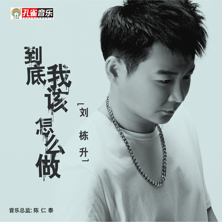 到底我該怎麼做