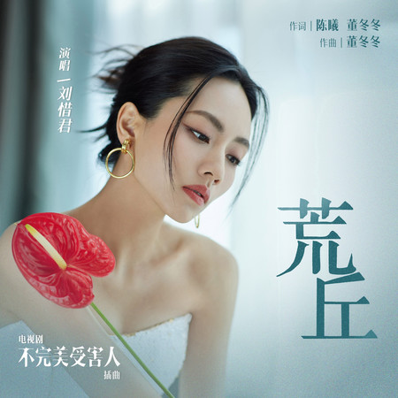 荒丘(電視劇《不完美受害人》插曲)