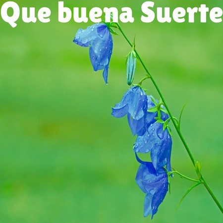 Que buena suerte專輯 - Relaxing Music - LINE MUSIC