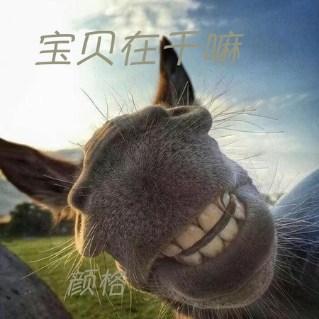 專輯封面