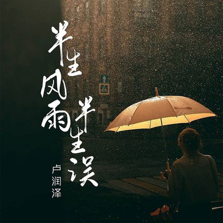 半生風雨半生誤