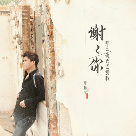 谢谢你那么优秀还爱我 (和声伴奏版)