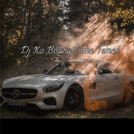 Dj Ko Bilang Cuma Temen