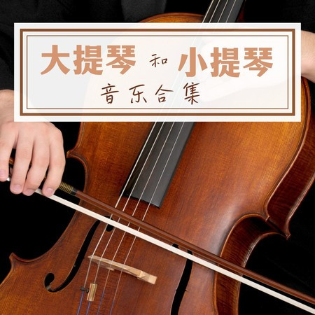 大提琴和小提琴音樂合集: 最好聽的樂器歌曲，適合看書、休息、緩解壓力、減輕焦慮的背景音樂