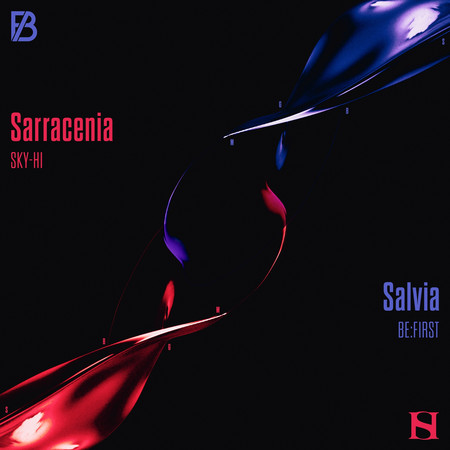 Sarracenia / Salvia
