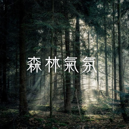 黑暗的森林