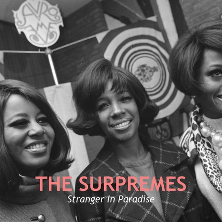 Stranger in Paradise