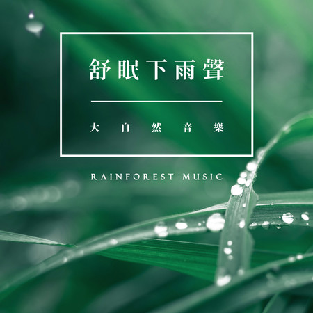 舒眠下雨聲 大自然音樂 (Rainforest Music) 專輯封面