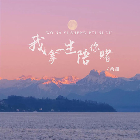 我拿一生陪你賭(DJ版)