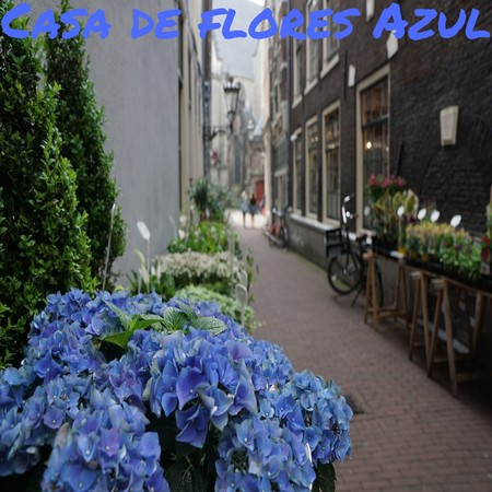 Casa de flores Azul
