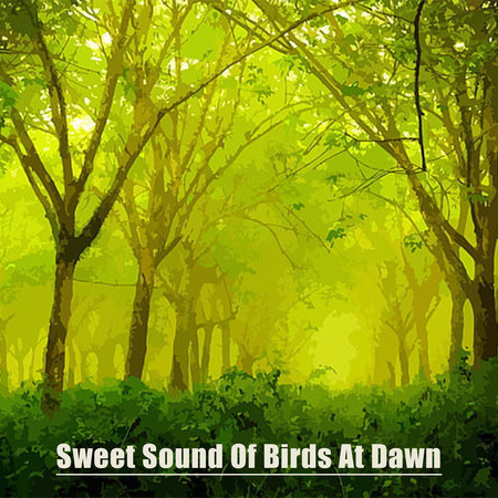Sweet Sound Of Birds At Dawn
