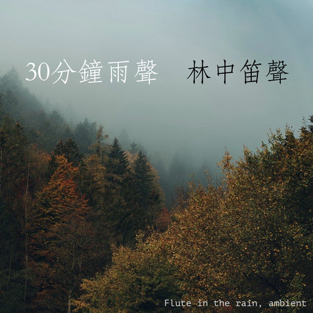 三十分鐘雨聲：林中笛聲、環境音、中國風、心靜音樂、打坐BGM