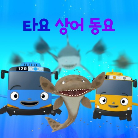 Epaulette Shark (Korean Version)