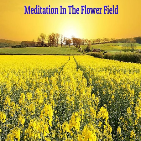 Meditation In The Flower Field
