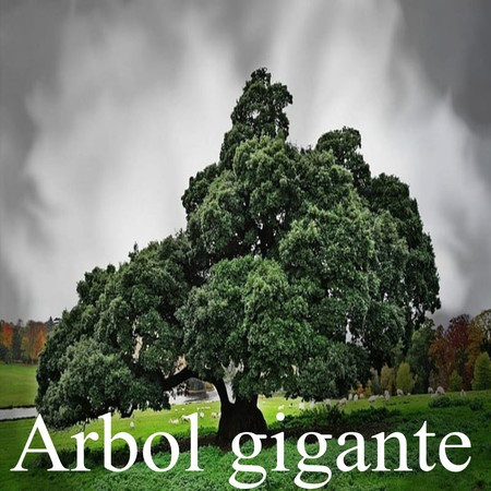 Arbol gigante