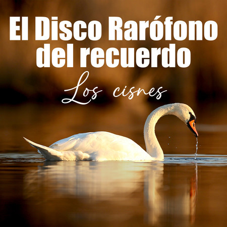 El Disco Rarófono del recuerdo - Los cisnes