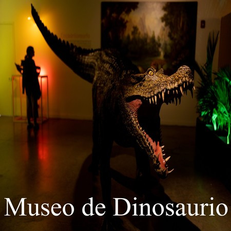 Museo de Dinosaurio