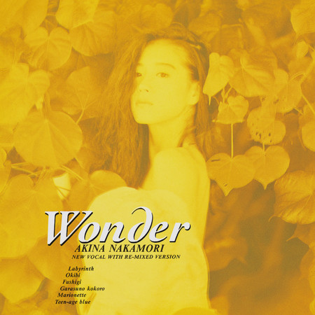 Wonder (Including Original Karaoke Tracks; 2023 Lucquer Master Sound)