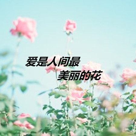 愛是人間最美麗的花