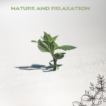Nature And Relaxation