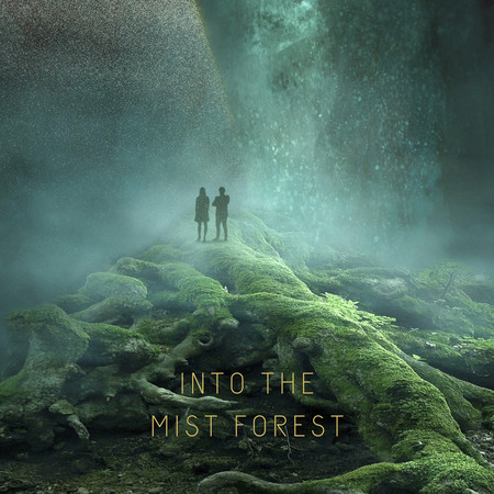 Into the Mist Forest