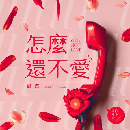 怎麼還不愛