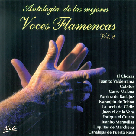 Antología de las Mejores Voces Flamencas Vol. 2 (Remasterizado)