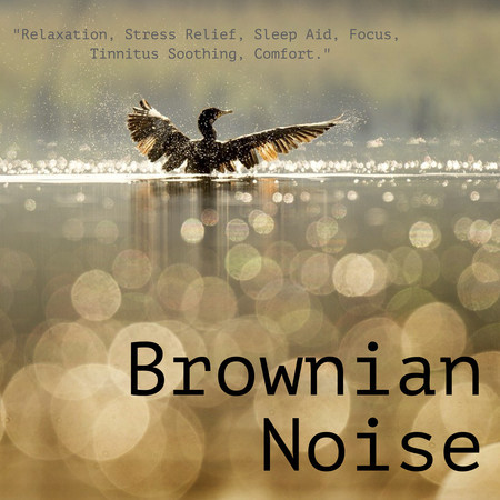 棕色噪音的柔聲細語